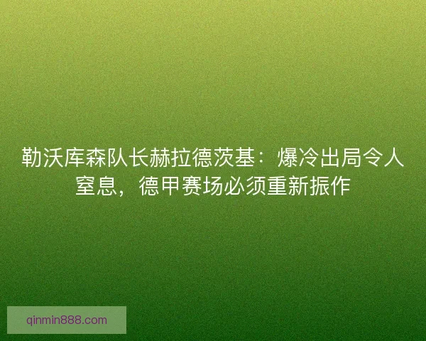勒沃库森队长赫拉德茨基：爆冷出局令人窒息，德甲赛场必须重新振作
