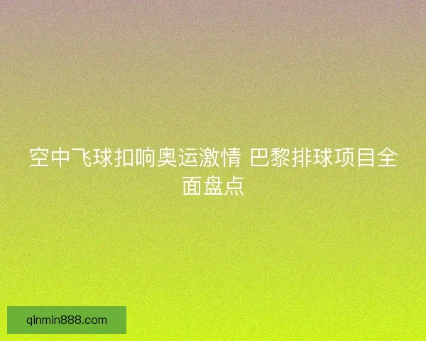 空中飞球扣响奥运激情 巴黎排球项目全面盘点