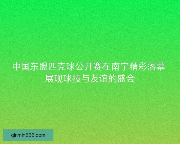 中国东盟匹克球公开赛在南宁精彩落幕 展现球技与友谊的盛会